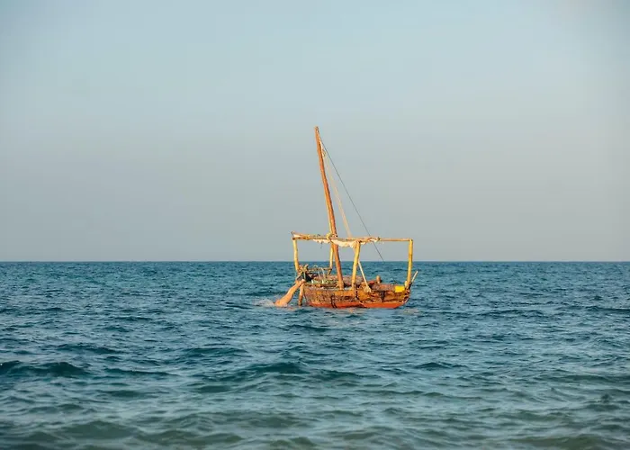 ذا سواهيلي هاوس